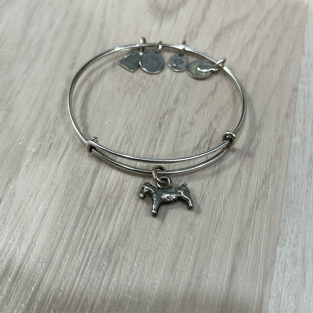 Alex and Ani Silver Monopoly Dog Bracelet